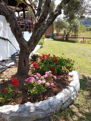 Ases Villa Lagonisi Halkidiki Ormos Panagias Buitenkant foto